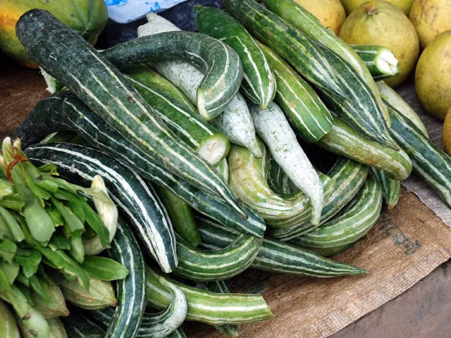 Đặc biệt, quả lặc lày thậm chí còn được cho là làm giảm nguy cơ phát triển bệnh ung thư phổi, ung thư ruột kết và ung thư khoang miệng. (Nguồn Danviet)