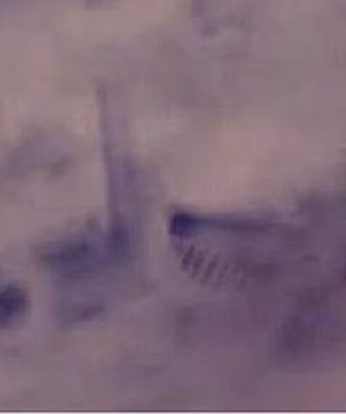 Tuy nhiên, cũng nhiều luồng ý kiến tranh cãi về hình ảnh kỳ lạ này. Nguồn ảnh: ufosightingshotspot. 