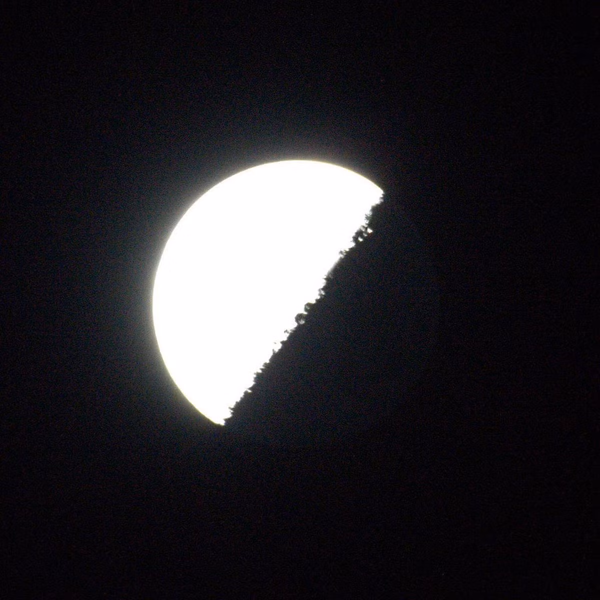 Phi hành gia Shane Kimbrough kịp chụp lại khoảnh khắc Mặt trăng từ không gian. Nguồn ảnh: Space.