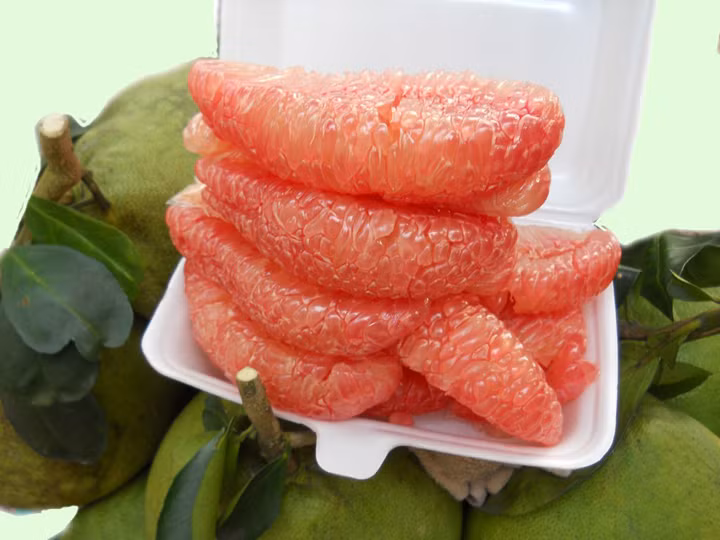  Bưởi da xanh có nguồn gốc đầu tiên ở xã Thanh Tân, huyện Mỏ Cày, tỉnh Bến Tre. Loại quả này có vị ngọt thanh, không hạt, lại dễ lột vỏ nên rất được ưa chuộng. (Nguồn Caygiong365)