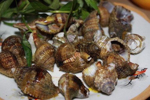 Thịt ốc lông ăn dai, giòn ngon không kém các loại ốc biển đắt tiền khác. (Ảnh Quanoct2)