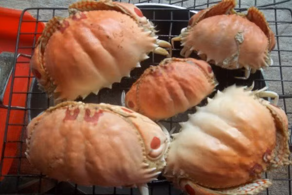  Con cúm núm hay gọi ngắn gọn là con cúm có hình dạng gần giống cua biển nhưng có chân và càng nhỏ, ngắn hơn, phần mai của cúm núm có hình tròn. (Ảnh Dichvuhangkhong) 