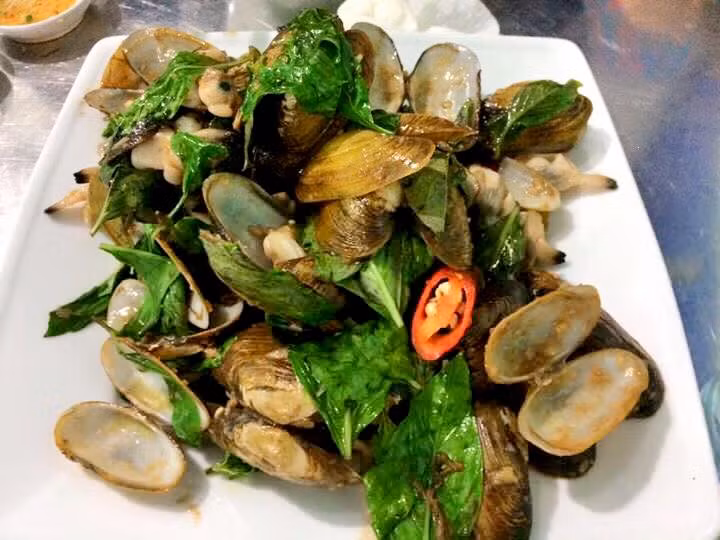 Ở nước ta, sò phi phân bố ở nhiều nơi như Hải Lộc (Hậu Lộc), Lạch Ghép (Quảng Xương), Lạch Hới (Sầm Sơn). Tuy nhiên, sò phi ở Cầu Sài vẫn nổi tiếng ngon nhất. (Ảnh Blogspot)