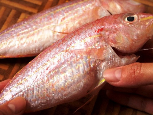 Cá phèn sinh sản rất nhanh. Chúng đẻ trứng ngoài biển. Trứng sẽ nổi và trôi trên mặt nước cho đến khi nở. Cá phèn không chăm sóc cá con. (Ảnh S1000food)