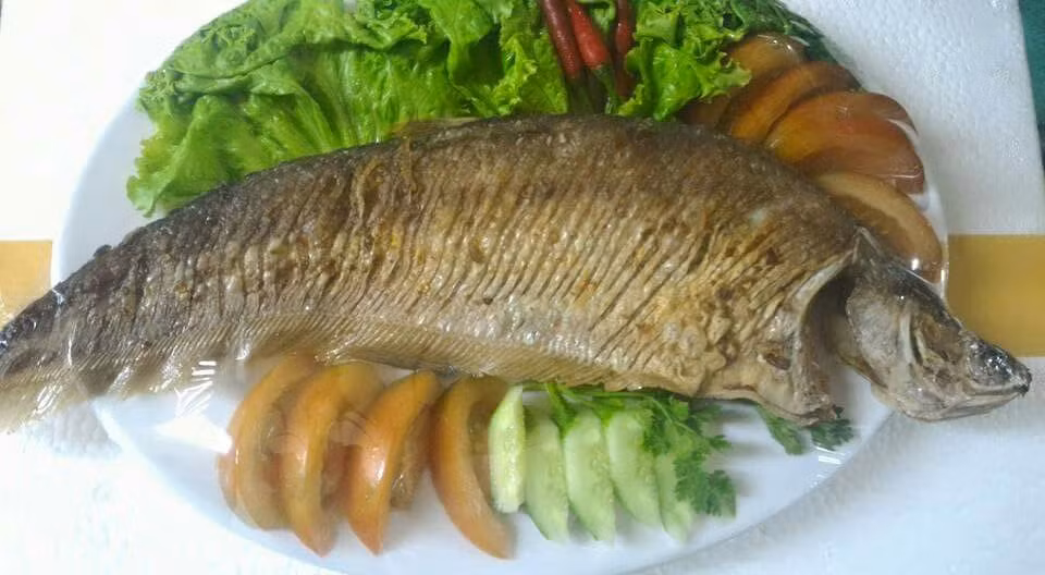 Cá thác lác có thể chế biến thành nhiều món ăn ngon như lẩu cá thác lác, canh chua khế cá thác lác,... nhưng nổi tiếng và ngon nhất vẫn là món chả cá thác lác - một món ăn tuy dân dã nhưng được dùng để dâng kính vua chúa, quan lại trong triều thời xưa. (Nguồn Cathatlatphamnghia)