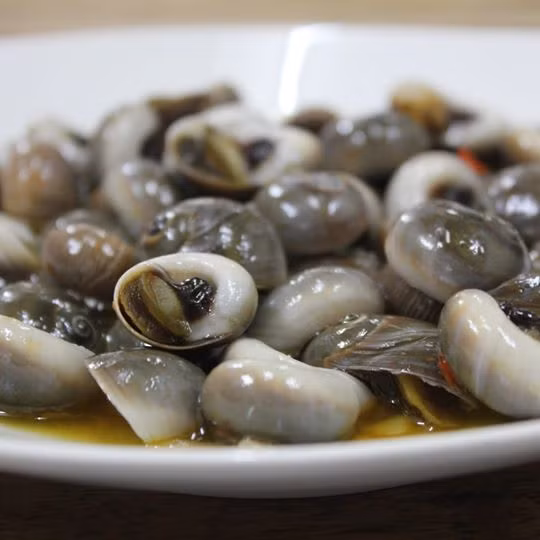 Sở dĩ ốc mỡ có tên gọi như vậy là do khi nó bơi dưới nước trông giống như một miếng thịt mỡ nhỏ. (Ảnh Dktcdn)