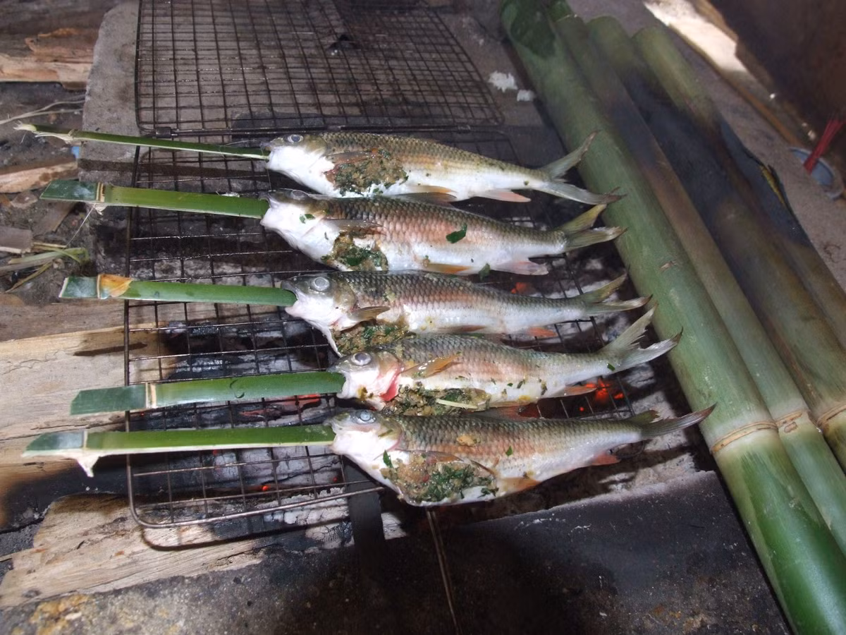 Cá mát có tác dụng lợi sữa, hạn chế các chứng bệnh tim mạch, rất thích hợp cho người lớn tuổi và cả người béo phì. (Nguồn Gocom)