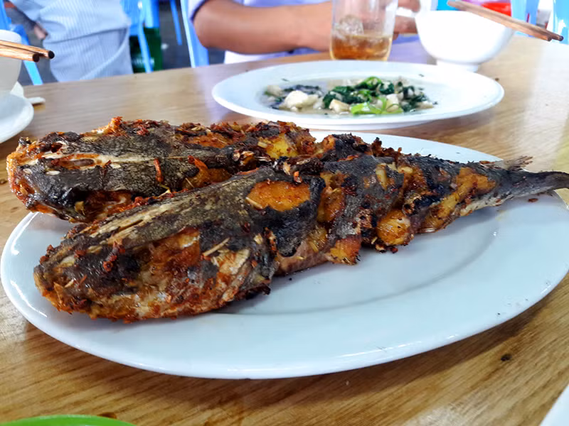 Cá ba gai có thể đánh bắt quanh năm nhưng cá ngon nhất là vào thời điểm từ cuối tháng 11 tới tháng 3, tháng 4 năm sau. (Nguồn Quangninh)