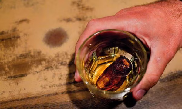  Móng tay trong ly cocktail Khách sạn Downtown ở thành phố Dawson (Canada) bắt đầu phục vụ món đồ uống có phần quái gở này kể từ năm 1973. Nó có tên gọi là cocktail Sourtoe với thành phần bao gồm rượu whisky và một...chiếc móng tay của con người được ướp muối nổi lềnh bềnh trong ly! (Nguồn Oddee) 