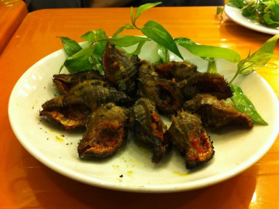 Trước khi chế biến, ốc lông phải được ngâm trong nước khoảng 3-4 tiếng đồng hồ cho nhả hết bùn rồi mới đem rửa cho sạch. (Ảnh Oclieu)