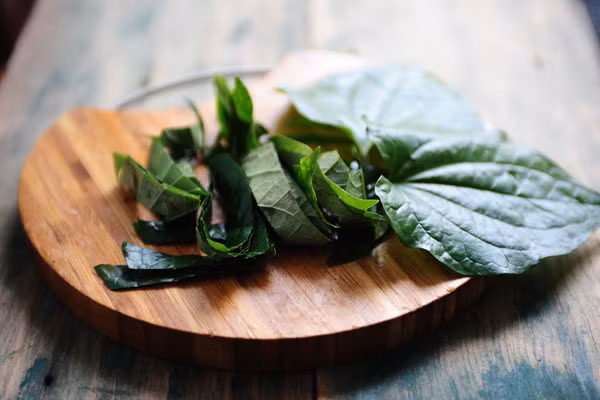 Đặc biệt, lá lốt còn là Viagra cho các đấng mày râu. Chỉ cần cắt lát hành củ cho vào bát nước mắm, vắt vài giọt chanh rồi ăn kèm với lá lốt. Đây là vị thuốc vừa chống cảm cúm, tăng cường sức khoẻ vừa là bài thuốc cho đàn ông yếu sinh lý. 