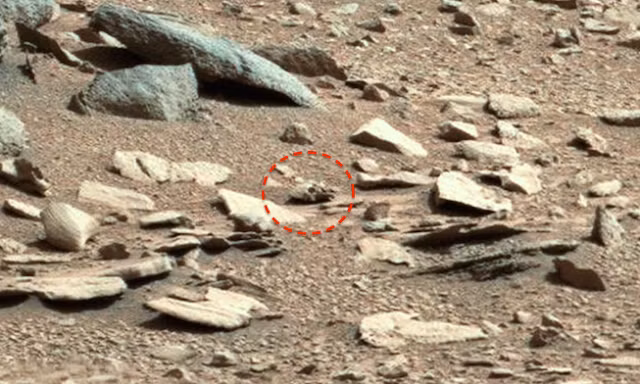 Kỳ bí ảnh giống sọ người ngoài hành tinh trên sao Hỏa Ky bi anh giong so nguoi ngoai hanh tinh tren sao Hoa