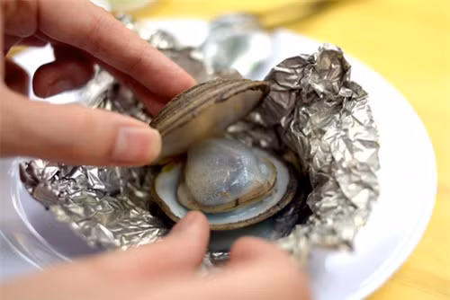 Ở Quảng Ninh, con ngán được phân bố ở 5 lưu vực địa lý khác nhau bao gồm: Quảng Yên, Vân Đồn, Đầm Hà, Hải Hà và Tiên Yên. (Nguồn Muckho)