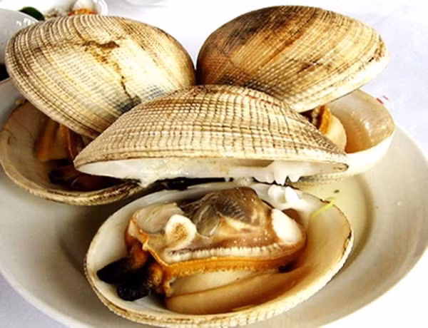 Con ngán có thể chế biến thành nhiều món ăn ngon như gỏi ngán, cháo ngán, ngán hấp, ngán nướng... Đặc biệt, rượu tiết ngán còn là một thứ rượu bổ dưỡng cho sức khỏe của nam giới. (Nguồn Phunutoday)