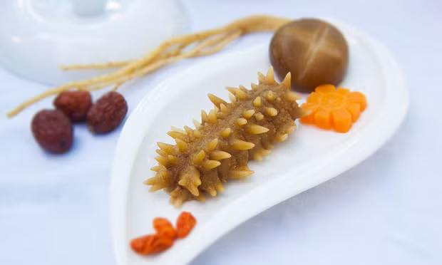 Hải sâm có đến 1.100 loài và bờ biển Việt Nam có tới hơn 50 loài hải sâm sinh sống. mặc dù vậy, không phải loài hải sâm nào cũng ăn được. Trong thực tế có tới 30 loài hải sâm vô cùng độc, gây hại cho sức khỏe. (Nguồn Photobucket)