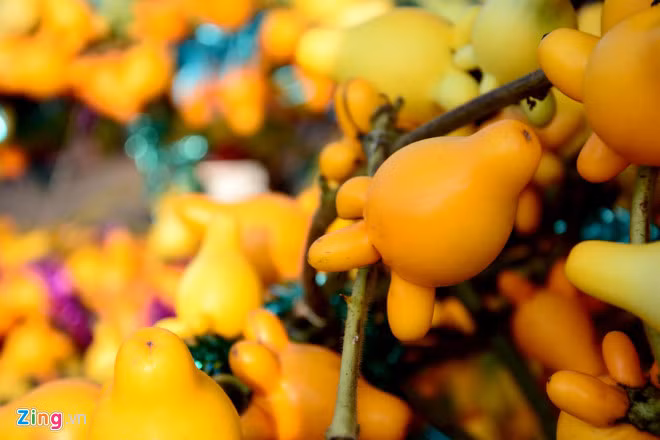  Quả dư thừa có màu vàng óng, dài khoảng 8cm, có hình dáng khá lạ mắt với 5 tai xòe ra đều nhau như bông hoa. 5 tai này thể hiện cho sự dư giả tròn đầy, sung túc. (Nguồn Zing)