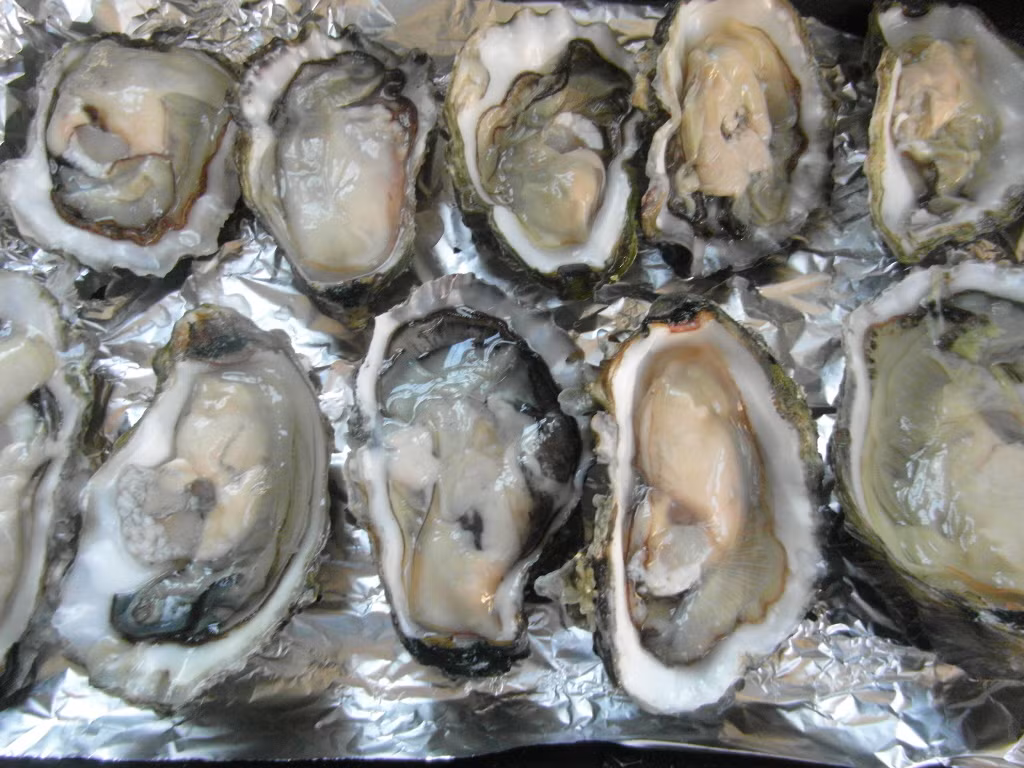 Hàu sữa không những có tác dụng bổ huyết, chữa mất ngủ mà còn là “thực phẩm cho tình yêu” vì rất tốt cho nam giới có bệnh liệt dương, yếu sinh lý…(Nguồn Blogspot)