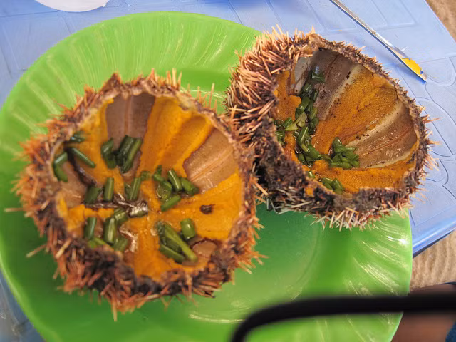 Thịt nhum rất giàu dinh dưỡng, chứa nhiều chất đạm, chất béo, acid béo omega-3, carbohydrates, sodium nên thịt nhum còn là bài thuốc tăng cường sức khỏe. (Nguồn Vforum)