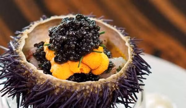 Theo nghiên cứu của y học, con nhum không những là món ăn tăng cường canxi mà còn có tác dụng bổ thận, tăng cường sinh lực cho đàn ông rất tốt. (Nguồn Landtourcondao)