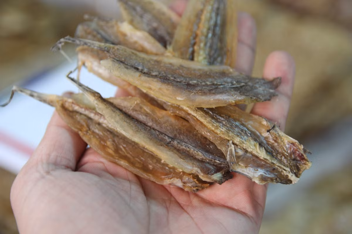 Ở Việt Nam, cá chai phân bố ở miền Trung và Nam Bộ. Cá chai còn được nuôi trồng ở Nhật Bản. (Nguồn Bizwebmedia) 