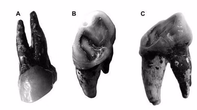 He lo bat ngo ve nguon goc loai nguoi qua hoa thach co-Hinh-3