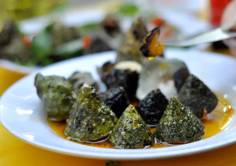 Ốc vú nàng sống bám chặt vào thành các ghềnh đá ven bờ biển, chỉ to bằng ba ngón tay người lớn. (Nguồn Zing)