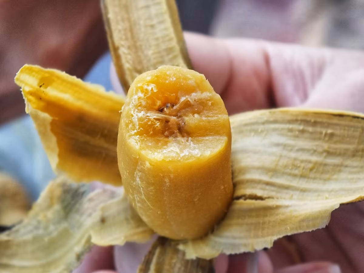 Ngoài cách luộc thông thường, chuối sáp còn chế biến được rất nhiều món ăn khác như chuối sáp nướng, chuối sáp chiên tẩm gia vị, chuối sáp nấu nước cốt dừa, chuối sáp nấu thịt ba chỉ…(Nguồn Blogspot)