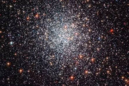 Kinh vien vong moi o Nam Cuc sap ra mat co gi "doc"?-Hinh-2