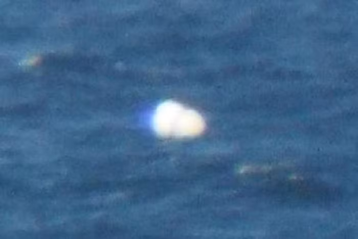 Khi phóng to bức ảnh, có thể thấy vật thể này là bộ đôi hai vật thể có hình tròn dạng phân tử hóa học dính liền với nhau. Nguồn ảnh: beamsinvestigations. 