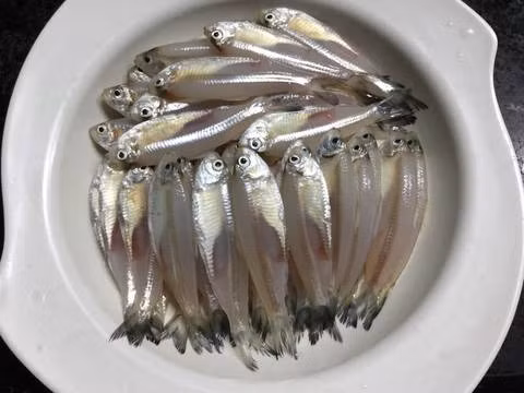 Cá mai có hình dáng tương tự như cá cơm nhưng thịt trong, săn chắc, ít mùi tanh, có vảy, mỏng hơn cá cơm. (Nguồn Cpcdn)