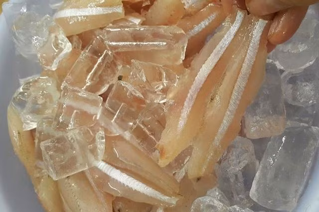 Từ cá mai có thể chế biến thành nhiều món ăn ngon, hấp dẫn, lạ miệng như gỏi cá mai, canh cá mai nấu riêu chua, cá mai kho tiêu, cá mai xào chua ngọt… trong đó ngon và nổi tiếng nhất là món gỏi cá mai. (Nguồn Kenhso5)