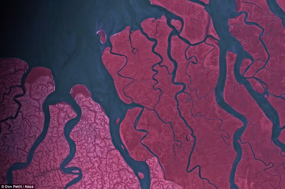 Còn đây là bức ảnh chụp dưới công nghệ hồng ngoại mô tả vẻ đẹp ảo ảnh, kỳ bí của vùng đồng bằng sông Hằng, Bangladesh chụp từ trên cao. Nguồn ảnh: Dailymail.