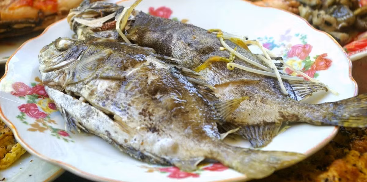 Ở Việt Nam, cá giò có mặt nhiều ở vùng biển ven bờ từ Bắc đến Nam. Trên thế giới, cá giò phân bố rộng ở vùng biển nhiệt đới và cận nhiệt đới. (Nguồn Blogspot)