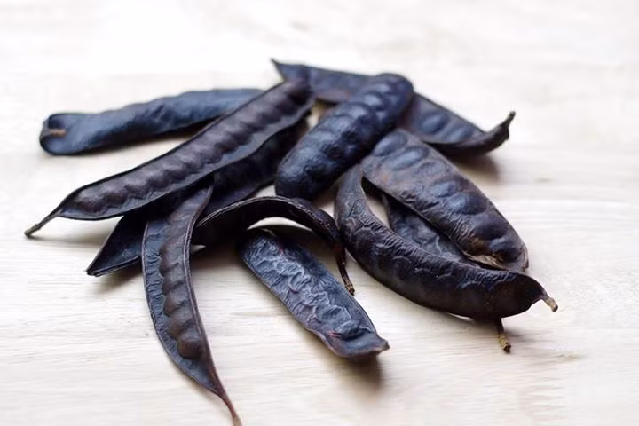 Một điều ít người biết về cây bồ kết đó là cả trái, hạt, lá và vỏ bồ kết đều chứa độc tính, nhưng tính độc chỉ cao khi dùng làm thuốc uống, còn nếu chỉ sử dụng ngoài da thì sẽ không ảnh hưởng đến sức khỏe. (Nguồn Vuonthuocnam) 