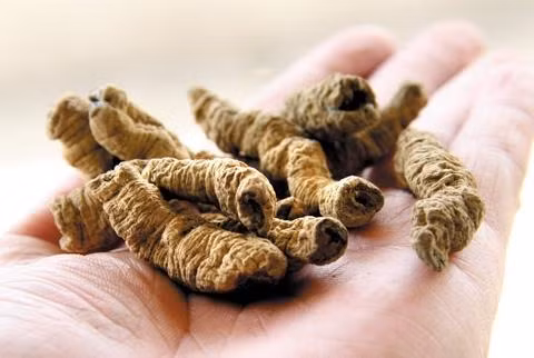 Có nhiều cách để sử dụng cây ba kích. Thông thường người ta thường dùng ba kích khô hầm cùng thịt gà hoặc sắc nước uống. Tuy nhiên phương thức được sử dụng nhiều nhất là ngâm rượu. 