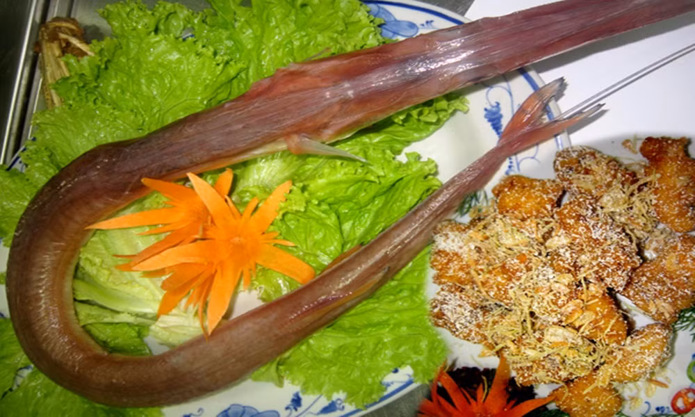 Những con cá chìa vôi trưởng thành thậm chí có thể có chiều dài lên tới 1m. (Ảnh Huongvibiendanang)