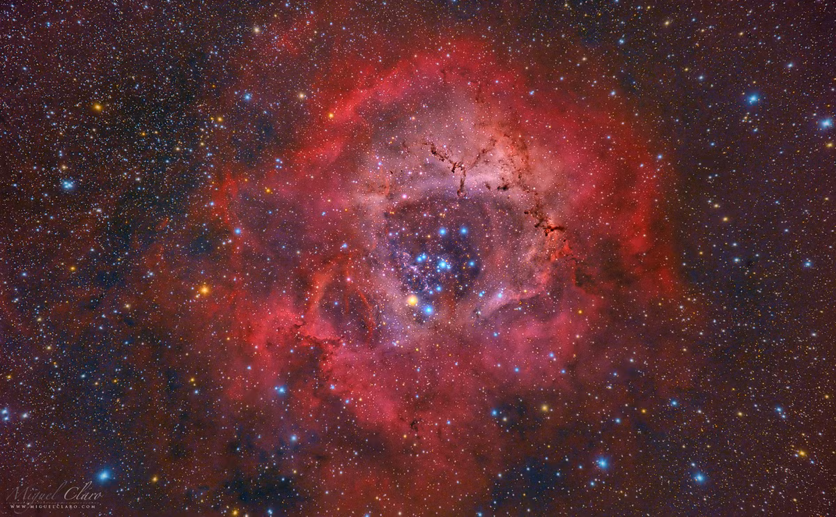 Mở đầu cho bộ ảnh thiên văn ấn tượng này là cận cảnh vẻ đẹp của tinh vân Rosette. Đối tượng mang màu sắc tựa như một bông hồng đỏ trong vũ trụ, bao gồm 2.500 ngôi sao lùn xanh phát sáng ở trung tâm do nhiếp ảnh gia thiên văn Miguel Claro tình cờ chụp lại được. Nguồn ảnh: Space.com.