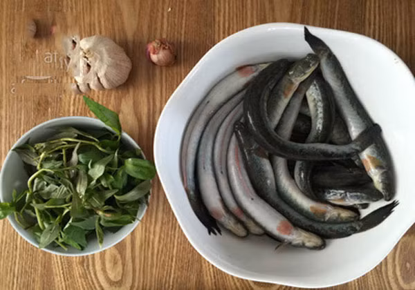 Đây là loài cá ăn tạp, ruột ngắn. Chúng sinh sản tự nhiên tại các bãi bồi ven biển với mùa sinh sản kéo dài từ tháng 4 đến tháng 9. 