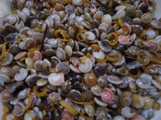 Món ốc ruốc rất được ưa chuộng nhưng cũng mất thời gian để khều thịt ốc do kích thước quá nhỏ của chúng. (Nguồn Langkemonsaigon)