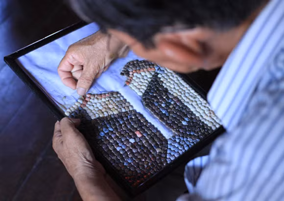  Vỏ ốc ruốc đủ màu sắc trông rất đẹp mắt nên thường được sử dụng để làm vòng đeo tay, đeo cổ bán cho du khách. Thậm chí, ở Hội An, nhiều nghệ nhân còn làm tranh nghệ thuật từ vỏ ốc ruốc. (Nguồn Blogspot)