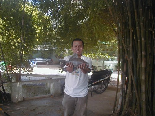 Cá ét mọi có thịt thơm ngon và thường được chế biến theo 3 kiểu chính là: nướng, kho và làm chả trộn với thịt cá linh. Ảnh 4so9. 