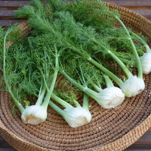 Củ hồi được dùng để chế biến nhiều món ăn như nước xốt, xúp, salad, rau trộn, các món hầm…(Nguồn Littlegardens)