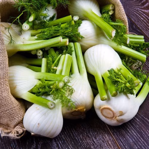 Không chỉ được dùng làm nguyên liệu chế biến các món ăn...