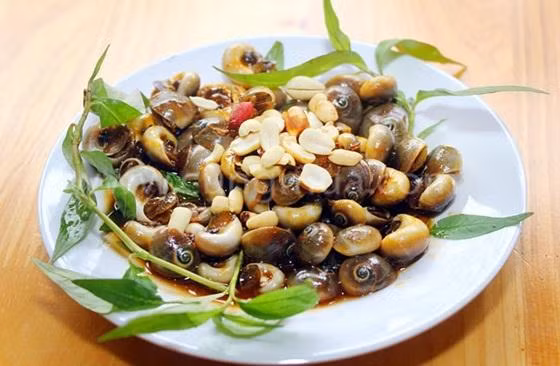  Ốc mỡ là loài ốc có nhiều ở vùng biển nước ta, phân bố rộng rãi khắp cả nước từ Cát Bà, Đồ Sơn đến Cà Mau. (Ảnh Daotaobeptruong)