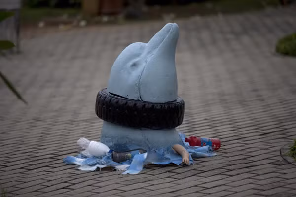 Năm 2015, các sinh viên của trường Đại học liên bang Rio de Janeiro đã tạo nên tác phẩm chú cá heo bị một chiếc lốp xe quấn vào cổ và trưng bày tại triển lãm có tên “Biển không phải dành cho cá”. Những vật liệu bỏ đi đã được những sinh viên này tận dụng để làm nên tác phẩm độc đáo, nhằm thu hút sự chú ý của dư luận hướng về vịnh ô nhiễm Guanabara. (Nguồn Oddee)