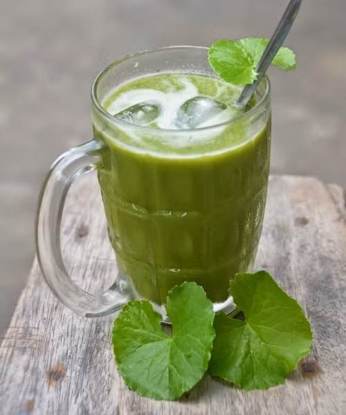 Rau má còn được sử dụng để làm thức uống bổ dưỡng như nước rau má xay và trà rau má. (Nguồn Bestie)