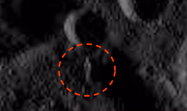 Sự việc được phát hiện vào ngày 5/3/2017 ngay trên bề mặt hành tinh lùn Ceres do NASA trực tiếp phát hiện. Nguồn ảnh: ufosightingsdaily.
