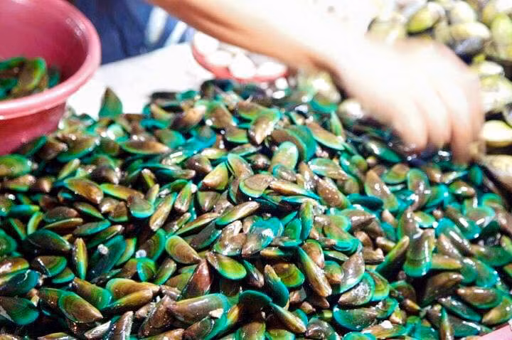 Đặc biệt, vẹm xanh nổi tiếng với khả năng hỗ trợ điều trị các bệnh về khớp ở con người như viêm khớp, thấp khớp, loãng xương, thoái hóa khớp. (Ảnh Haisantuoisachbienhoa) 