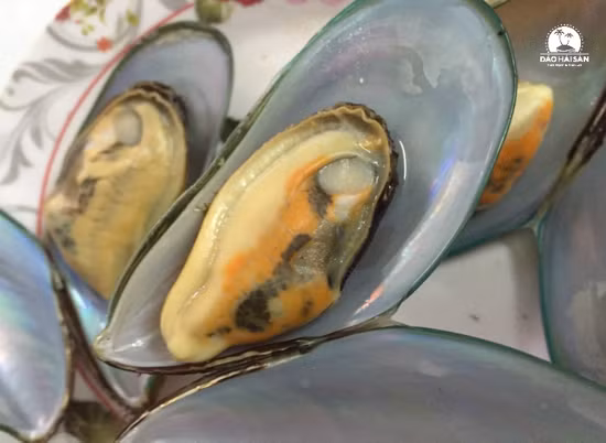 Vẹm xanh thường kiếm ăn dưới tầng nước sâu khoảng 6m - 10m. Thức ăn của vẹm xanh chủ yếu là sinh vật phù du và tạp chất lơ lửng trong nước. (Ảnh Daohaisan)