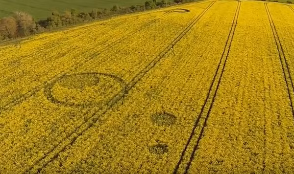 Trên cánh đồng cây trồng hoa màu này, chỉ sau một đêm xuất hiện một vết tròn khổng lồ, theo đó là hai vết tròn nhỏ khác cũng xuất hiện gần đó. Nguồn ảnh: ufosightingsdaily.